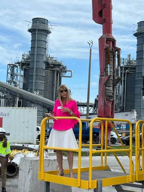 The Unveiling – Cemex and Friends of Manatee Lagoon