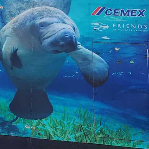 The Unveiling - Cemex and Friends of Manatee Lagoon