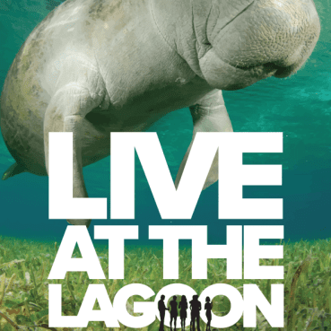 Live At The Lagoon